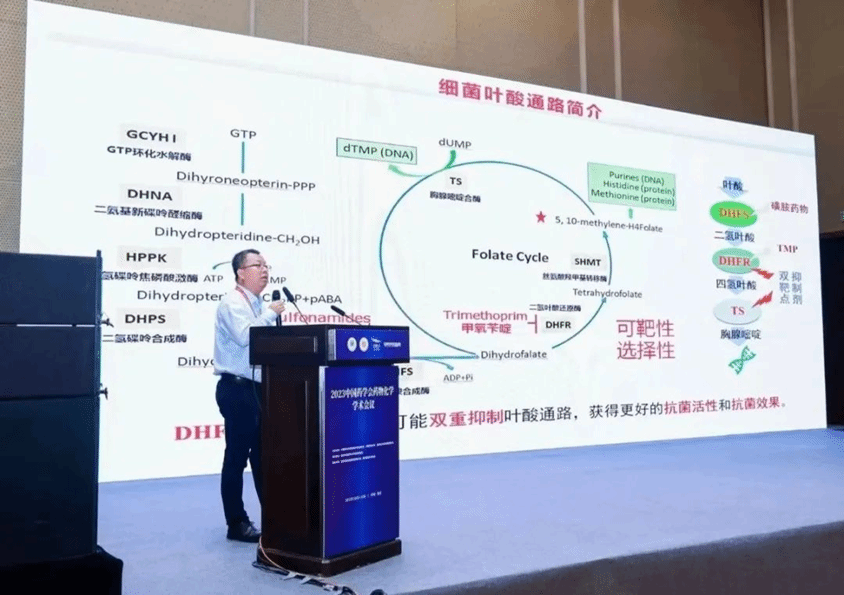 在线赌博网站